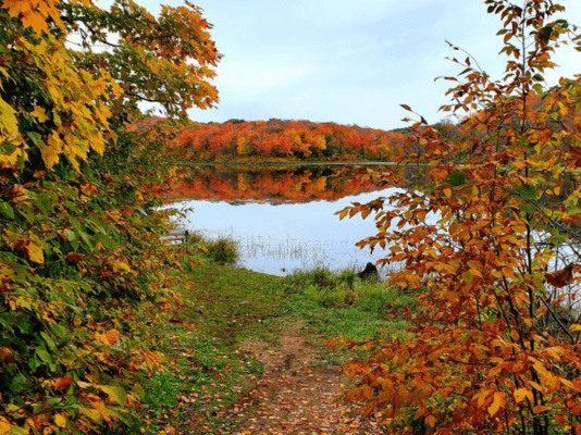 fall colors near fargo