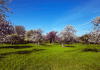 picnic spots in Fargo
