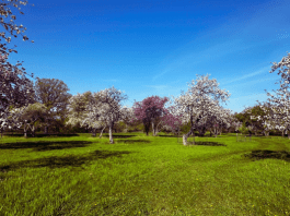 Best Picnic Spots in Fargo & Moorhead picnic spots in Fargo