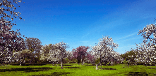 picnic spots in Fargo
