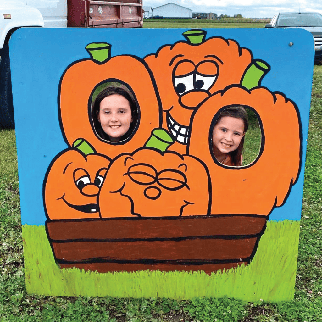 pumpkin patch