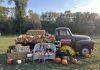 buffalo river pumpkin patch