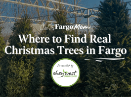 Where to Find Real Christmas Trees in Fargo & Beyond real Christmas trees fargo