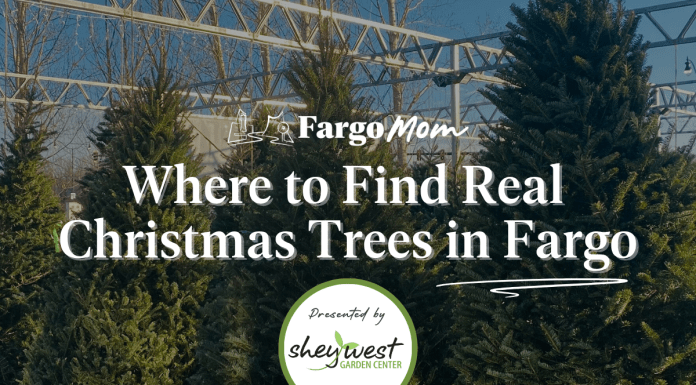 real Christmas trees fargo