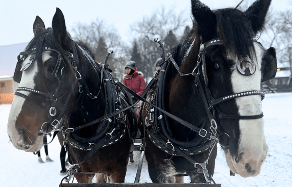 sleigh rides fargo