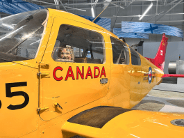 6 Fun Things to Do in Winnipeg with Kids