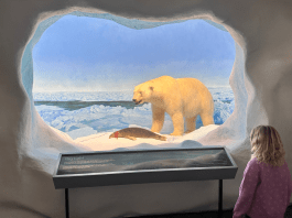 6 Fun Weekend Trips From Fargo with Kids