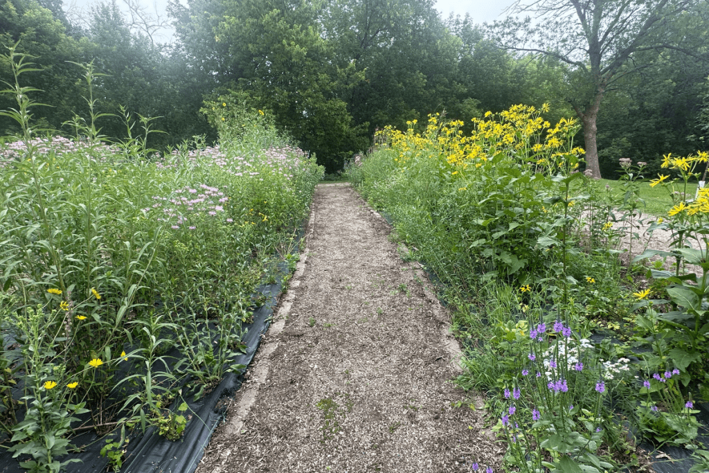 Lion's Conservancy Park Fargo