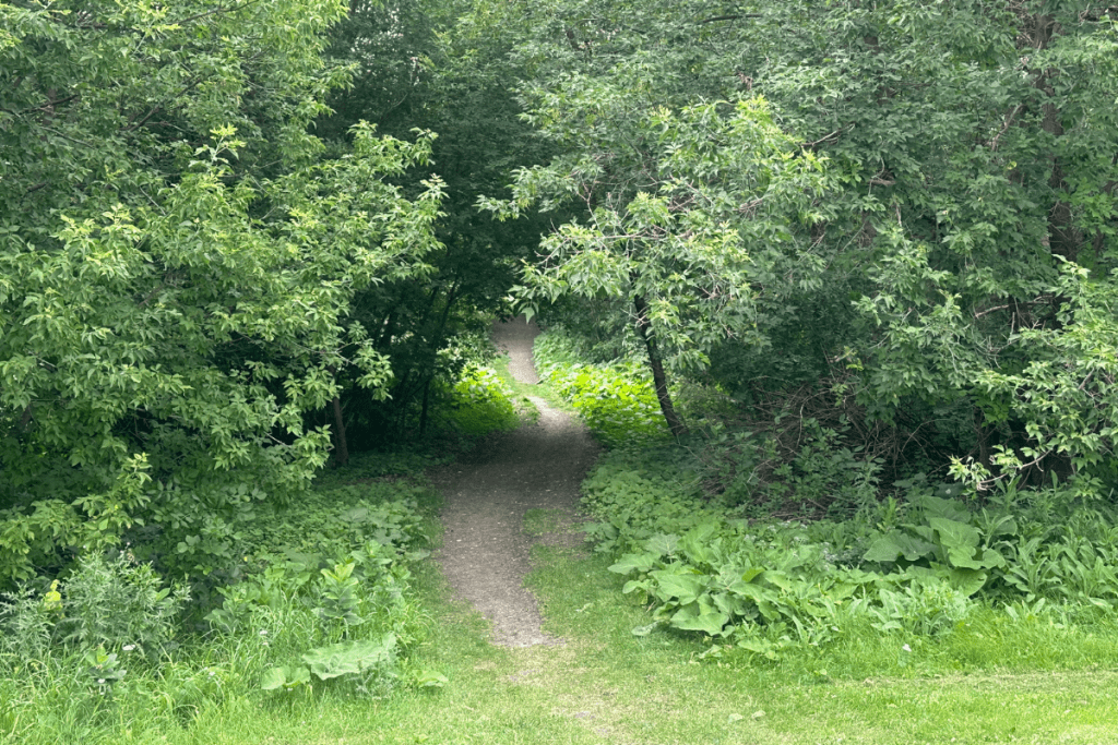 Lion's Conservancy Park Fargo