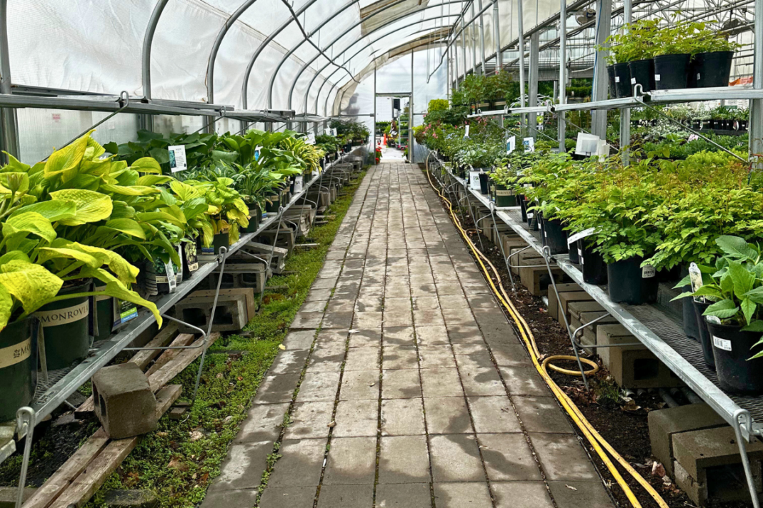 Fargo Craigslist Farm And Garden