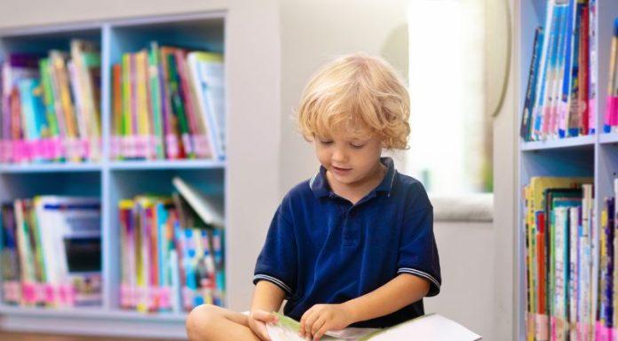 Why My Family Loves the Library Library