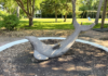 Explore with Kids: Gooseberry Mound Park