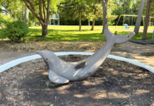 Explore with Kids: Gooseberry Mound Park