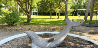 Explore with Kids: Gooseberry Mound Park