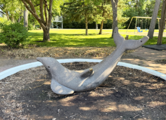Explore with Kids: Gooseberry Mound Park