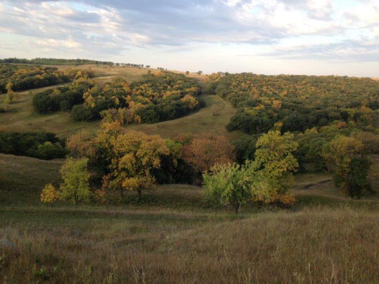 Best Places to View Fall Colors in Fargo & Beyond