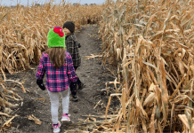 Explore with Kids: Lost in the Valley Corn Maze & Pumpkin Patch