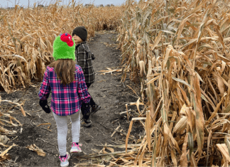 Explore with Kids: Lost in the Valley Corn Maze & Pumpkin Patch