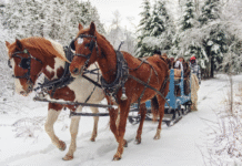 5 Holiday-Themed Weekend Trips from Fargo