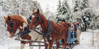 5 Holiday-Themed Weekend Trips from Fargo