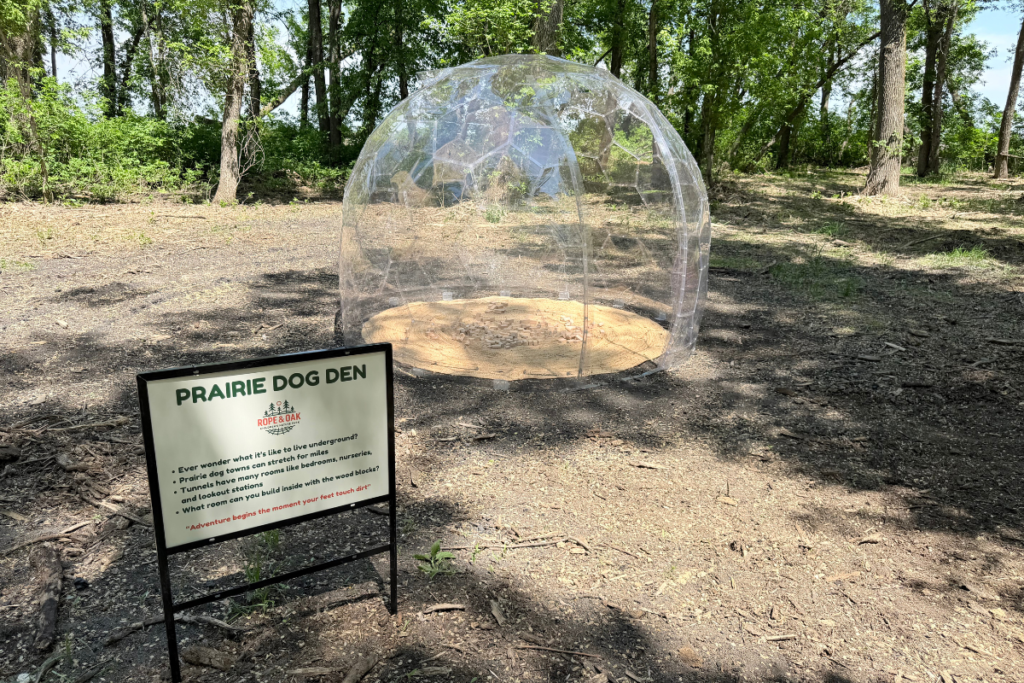 prairie dog den