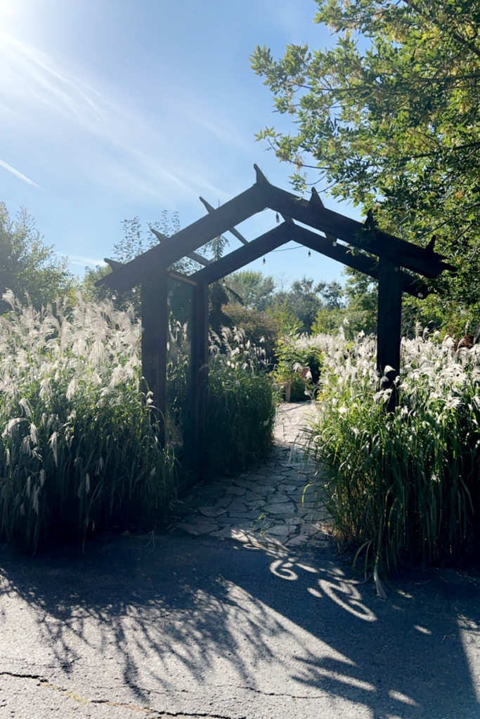 the red river zoo garden