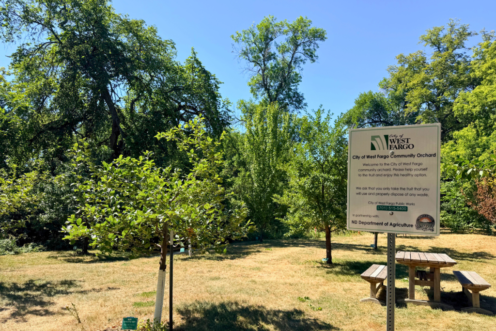 Apple Orchard Fargo
